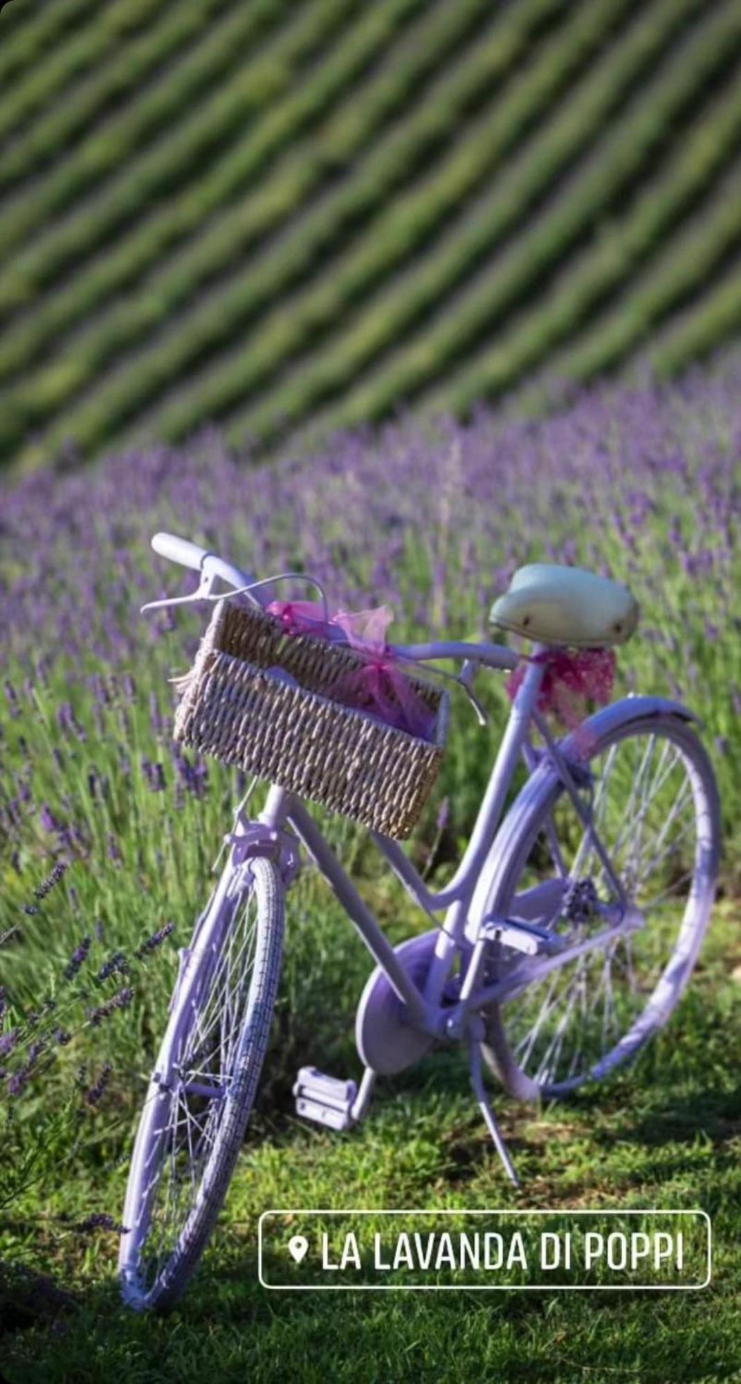 La Lavanda Di Poppi-Mini Appartamento Esterno foto