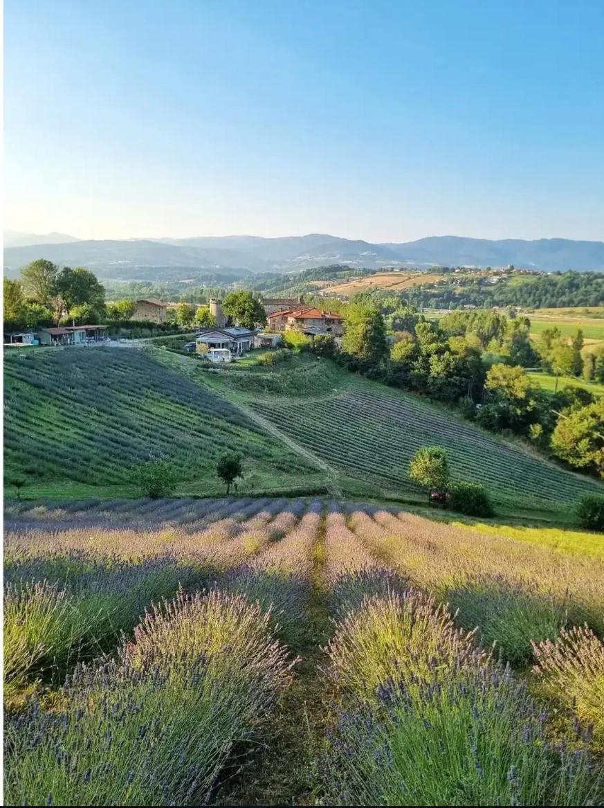 La Lavanda Di Poppi-Mini Appartamento Esterno foto