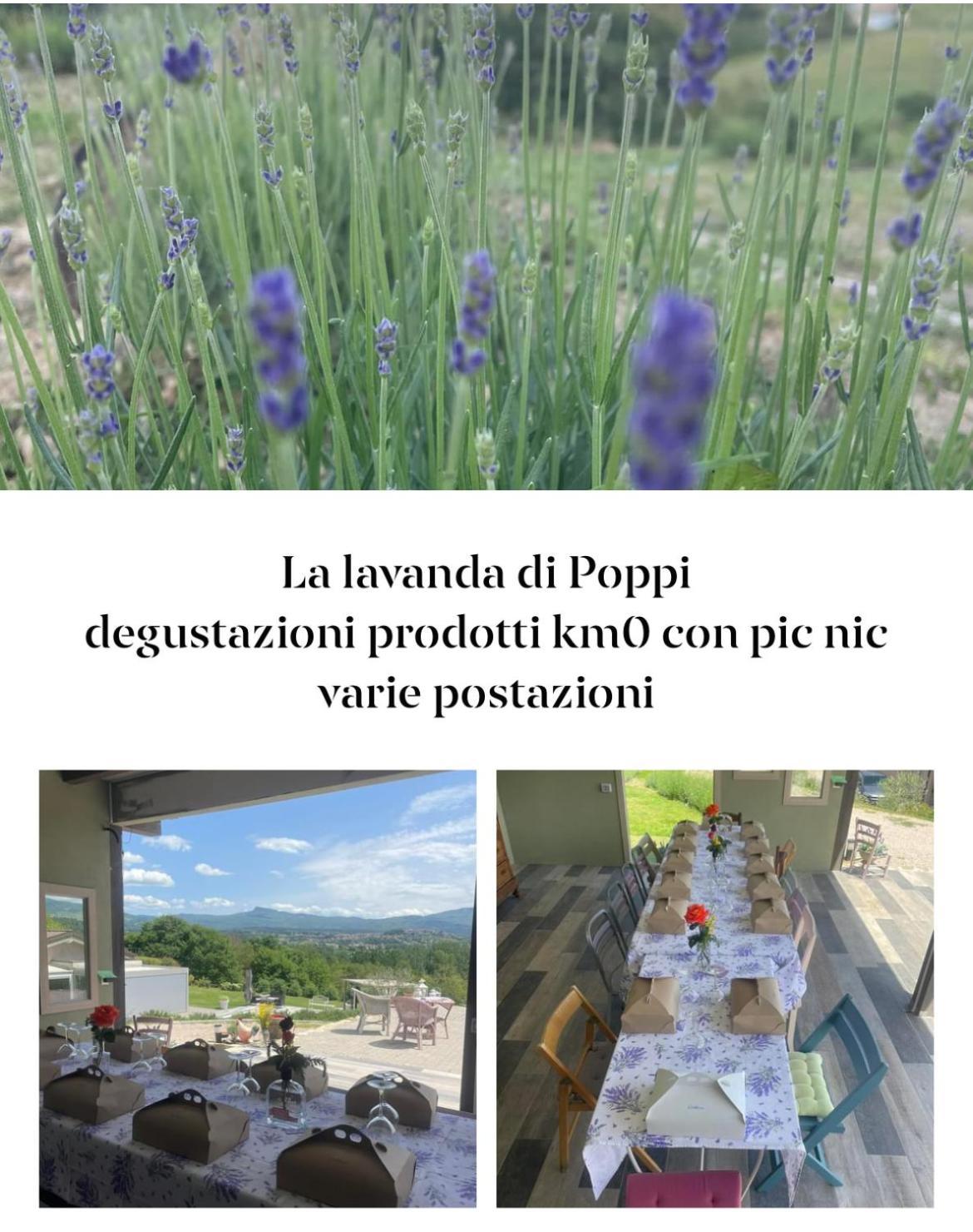 La Lavanda Di Poppi-Mini Appartamento Esterno foto